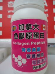 加拿大魚膠原蛋白 300克原粉裝